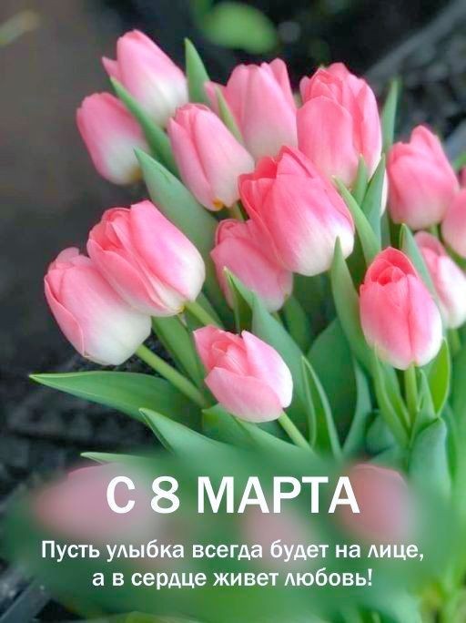 337156cf12c31035ea194f8a228ffc0a