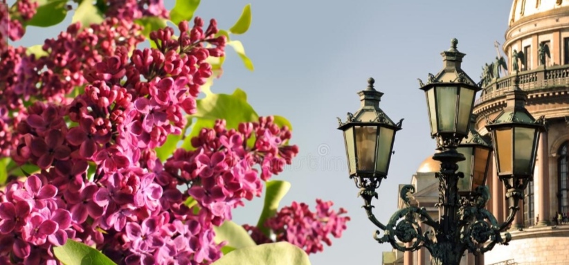 Screenshot 20220603 151454