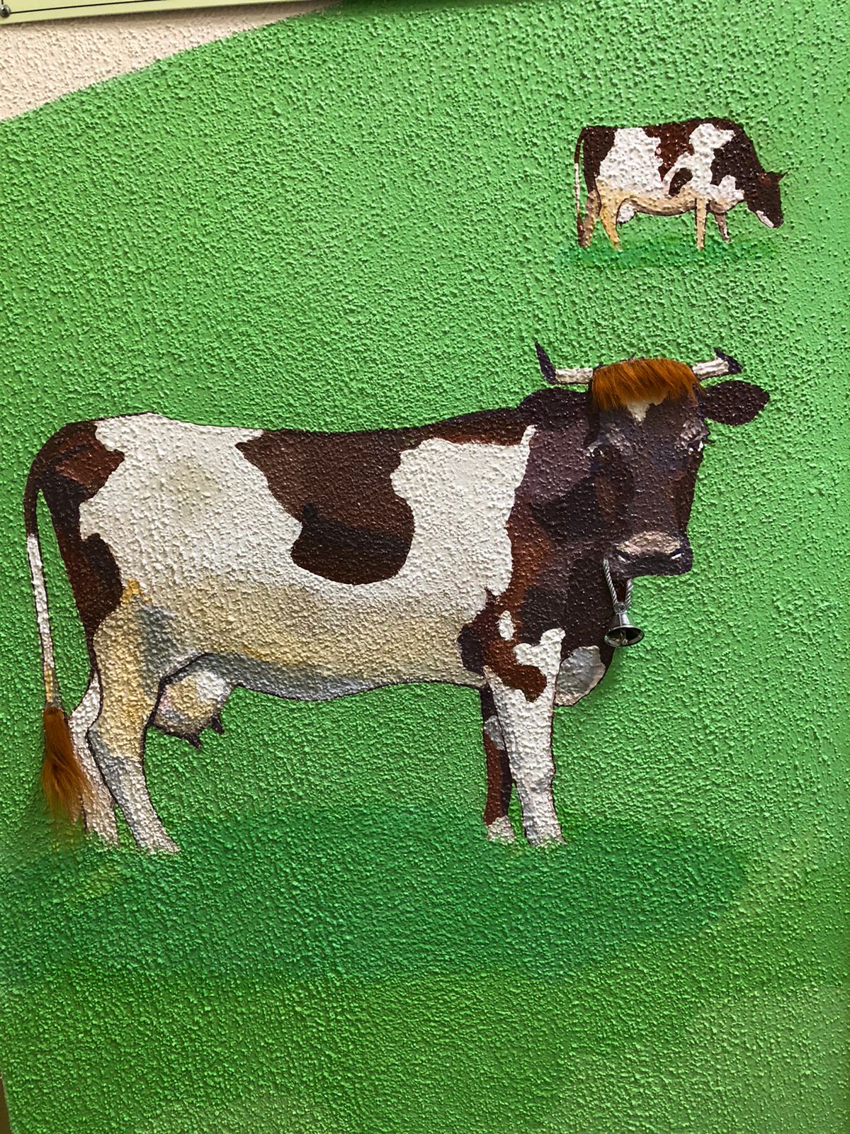 WhatsApp Image 2021 11 29 at 17.47.51 3